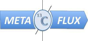 Metaflux